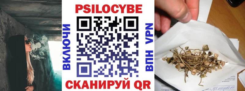 Галлюциногенные грибы Cubensis  Горячеводский 
